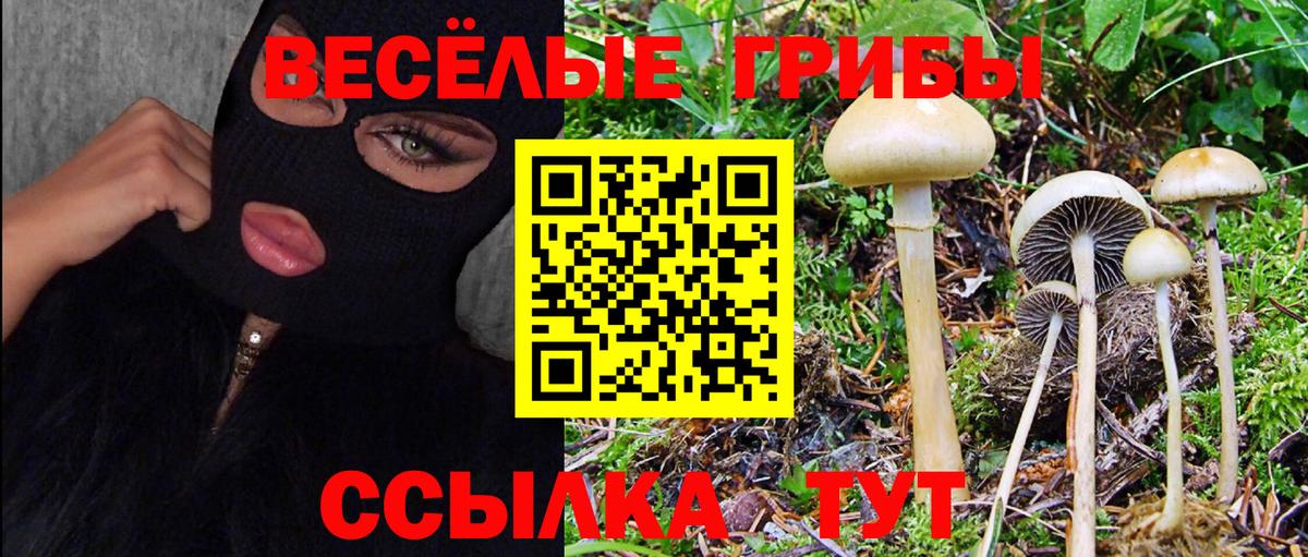 Галлюциногенные грибы ЛСД Ишим
